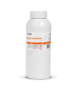 Fizzy Cola 1L 